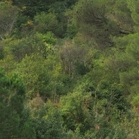 Photo de France - Le Canal du Midi et le tunnel du Malpas